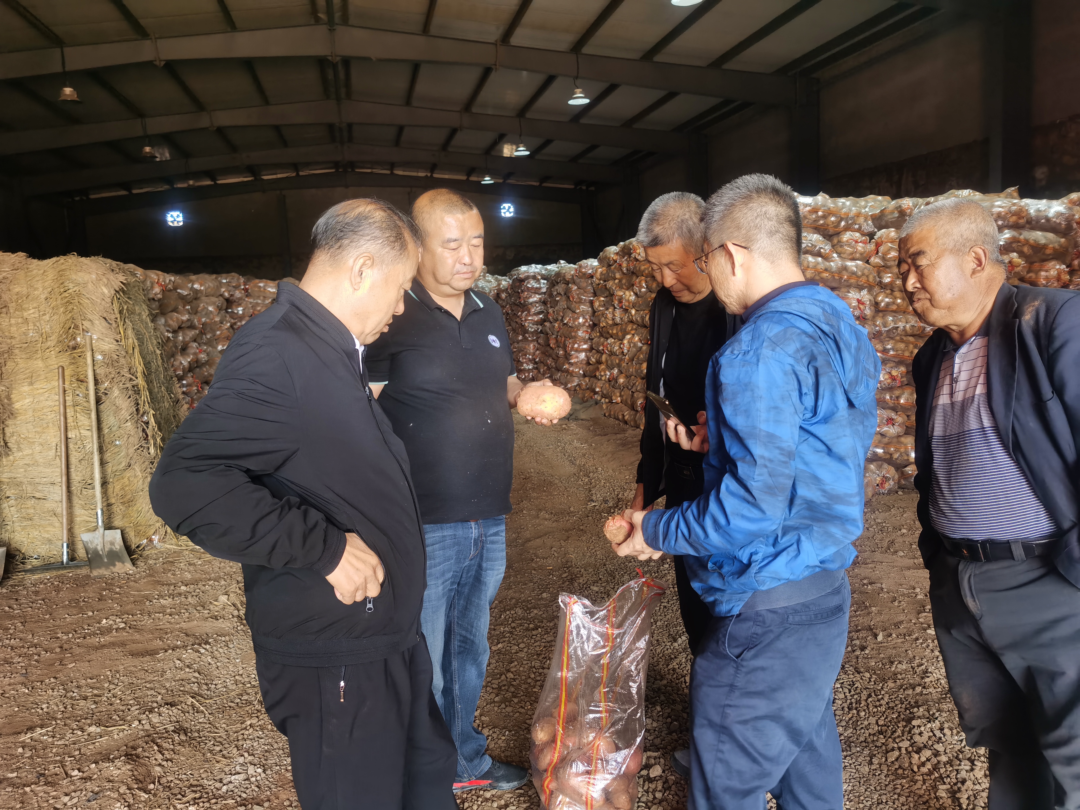 資源對接，互惠共贏 借助商協(xié)會平臺優(yōu)勢助力內(nèi)蒙古馬鈴薯 企業(yè)開拓山東市場